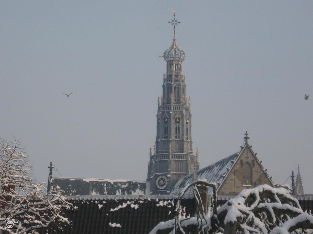 Hotel Lion D'Or Haarlem Bagian luar foto